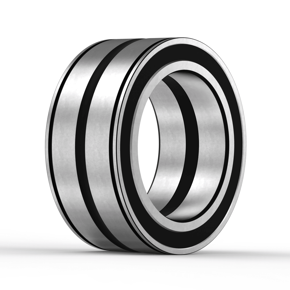 SL045048-PP INA - Zylinderrollenlager with white background