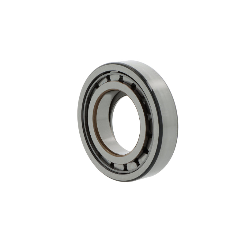 BC1-0313 SKF