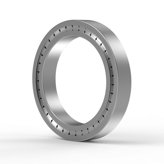 SL182952 INA - Zylinderrollenlager with white background